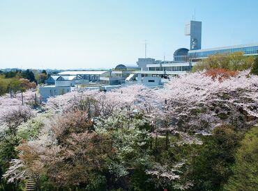 有名な進学校でのオシゴト！
モクモク事務作業と人とかかわる仕事、
バランスよく働けます！
ExcelやWordの経験��を活かせます♪