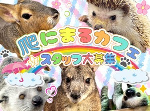 9月には原宿店に新店がオープンします★
希望の方はそちらでの勤務もOKです♪