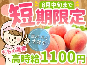 ≪夏の短期募集★≫
夏休み・スキマ時間の
お小遣い稼ぎにもぴったり！
幅広い世代が活躍できるお仕事です◎
