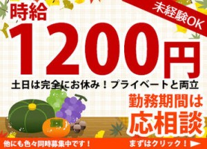 覚えることは少なめ◎
あなたがストレスなく働ける案件をご紹介します◎
短期も気軽にご相談くださいね！