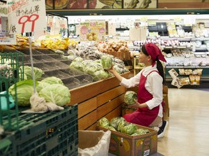 《希望に合ったお仕事が見つかる》
▼稼働分前払い(日払い)・月払いOK
▼かけもちやフルタイムも歓迎
▼未経験◎
※イメージ画像
