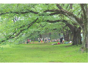 杉並らしいみどりの保全地区の1つに選ばれた屋敷林の中にある当園
様々な体験を通じて子どもたちの持っている力を育んでいます◎