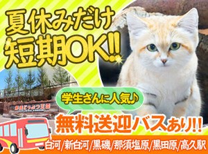のびのびと生活する動物がいっぱい★
お客様に楽しんでもらうお仕事ですが、働きながら自分も思わず笑顔になっちゃう♪