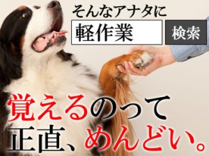 ＜応募&登録は履歴書不要＞
面倒な手間は一切なし!!
まずはお問い合わせだけでも大歓迎♪