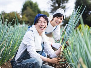 永山農園の美味しいネギがいっぱい＊
農業や園芸に興味のある方、必見◎
美味しい野菜作りのコツが分かるかも♪
※画像イメージ