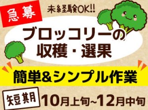 ＜お仕事カンタン★＞
未経験さんでもスグに慣れる、簡単&単純作業です◎