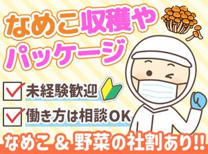 「まずは話を聞いてみたい」という方も大歓迎です♪
お気軽にご相談くださいね◎