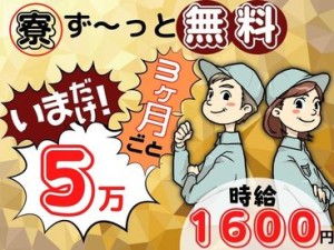 未経験者・経験者どちらにも
ご紹介可能なお仕事たくさん！！
ぜひMan to Manでチャレンジしてみませんか？