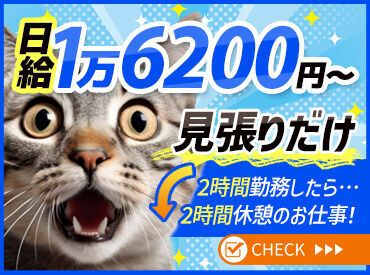 ≪期間限定のレア現場募集開始★≫
2025年8月末ごろまでの限定募集◎
★がっつり稼ぎたい人必見です★