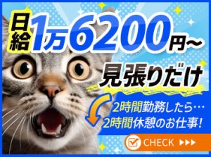 ≪期間限定のレア現場募集開始★≫
2025年8月末ごろまでの限定募集◎
★がっつり稼ぎたい人必見です★