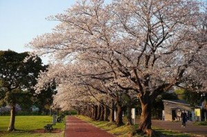 ＊無料の駐車場あり
＊急用でのシフト調整可能など…
働きやすい待遇もたーくさん♪