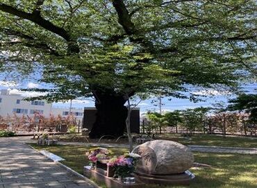 土日のどちらか勤務できる方大歓迎！
副業やWワーク大歓迎◎