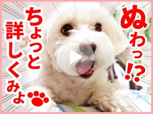 高時給1600円★
週2日×4時間だけでもOK◎
効率よく稼げる！
▼登録時の履歴書不要
登録会は"月～金まで"開催中です！