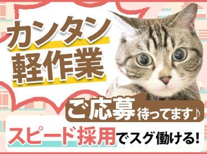 車のリース、寮費補助、前払い制度（稼働分）etc…
待遇がいろいろあるのもポイント★ぜひご活用下さいね！