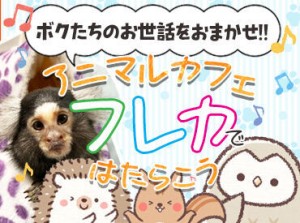 可愛い動物に囲まれてお仕事♪
未経験＆知識ゼロでOK！
これから知識を身に着けたい方も◎