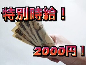 静岡県、愛知県、三重県、岐阜県に業種問わず250ヶ所以上の派遣先！
ゼロン東海ならきっとあなたにあった仕事が見つかります！