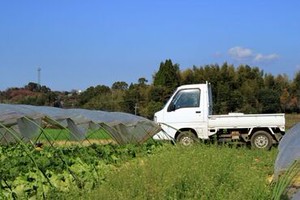 ＼シンプルワーク／
未経験者でもすぐできる簡単なコトばかり！
シニアまで皆さん歓迎します！
※写真はイメージです。