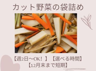 【年末まで★限定バイト】月曜～土曜日の間で好きな日に働ける★予定に合わせて勤務できる