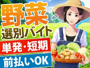 ガッツリ稼いで収入UP+゜
自分のペースでお小遣い稼ぎしよう！
勤務地へは無料送迎有◎