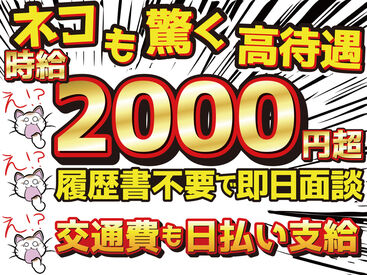 高時給でタイパよく稼げる★
働く日と趣味の日、休む日のメリハリが◎
推し活が充実してきて毎日が楽しいです♪