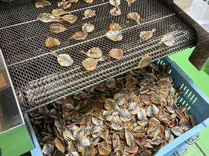 仕事に必要なスキルなどは、入社後に働きながら覚えていけばOKです。
現場担当がしっかりとした研修を行いますのでご安心を！