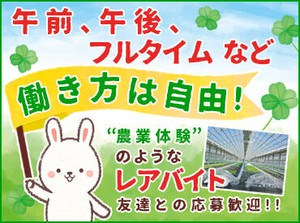 ▼農業の楽しさをしれる
土いじりが好き、育ててみたい
など、興味があるけど手が出せない…
そんな方チャンスですよ♪