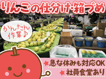 お仕事はシンプル♪りんごの箱詰めなどのお仕事です♪
未経験の方でもすぐにお仕事に慣れると思いますよ！