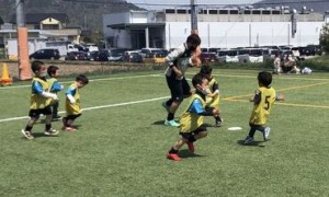 子供達に夢や希望を与えることができます!!『サッカーに関わる仕事がしたい。』『子供が大好き！』そんな方が活躍中♪