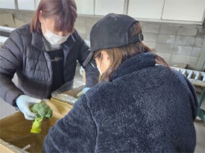 お昼の12時までだから
家事や趣味との両立はもちろん
Wワークも可能です★
気軽にご応募ください！