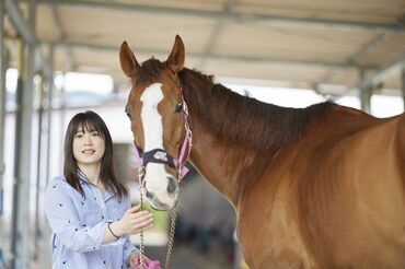 馬にほぼ触れた事がない方も大歓迎です◎まずは、少しずつお仕事に慣れていく所から♪