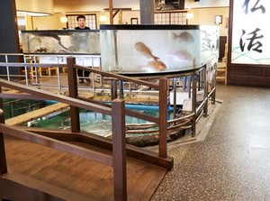 創業25年以来多くのお客様に愛されてきた福岡の老舗和食屋さん！

広々とした店内には巨大な水槽が‼