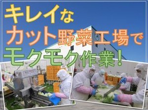 アナタの働きやすさを重視!
週2日～ライフスタイルに合わせて働けます★