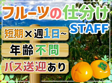 ★9～12月までの期間限定のレアバイト★
お仕事はカンタンなのに
未経験でも時給1200円スタート！
効率よく稼ぎましょう～♪♪