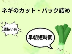 働く環境◎「オススメのお仕事」です♪