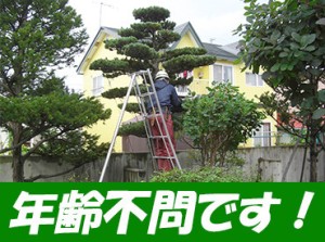 ～11月限定のお仕事
50～60代のスタッフが活躍中！未経験からスタートした先輩ばかり。自動車免許があればどなたでも応募OK！