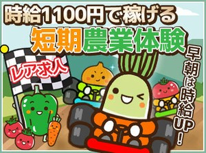 「期間限定の短期…／長期で安定…」など、働き方はご相談ください♪
※画像はイメージ