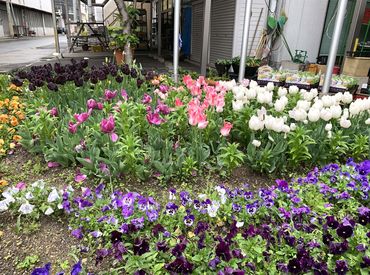 優れた品種の育成など
花き業界が盛り上がるよう貢献してきています◎
ご興味がある�方も是非♪