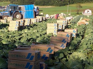 髪色・髪型自由！
髪を染めている方でも安心★
一戸建て住宅or2DKのアパートで住み込みでも働けます♪