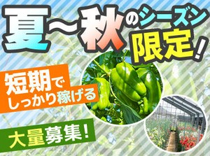 ＜11月までの短期の大量募集◎ ＞
シンプルで覚えやすい簡単ワーク！