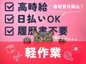 年齢不問！日払いOK★未経験でもカンタンなお仕事！