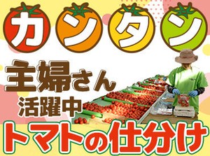 1日4時間～の勤務OK！
扶養内勤務も可能です♪
あなたに合った働き方が出来ますよ◎