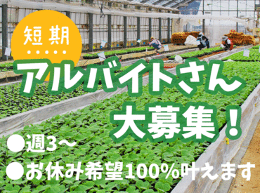 ＼もっと野菜が好きになる◎／
土づくりから育苗・出荷まで、お仕事いろいろ♪
野菜苗作りの楽しさを体験してみませんか？