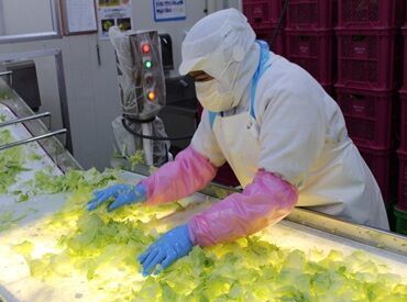 黙々作業がお好きな方大歓迎！
"普段料理をしないのにできるかな"
なんて心配な方もご安心を◎