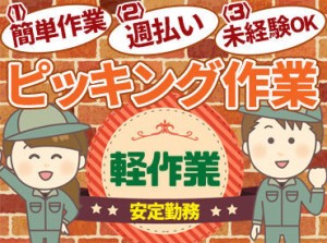 履歴書不要で面接OK◎
高時給のお仕事始めませんか♪
未経験からも多数活躍中！