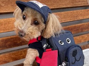 ★未経験者歓迎★カタいマニュアルはありません◎お客さんと、愛犬のお話をするのが楽しい♪
