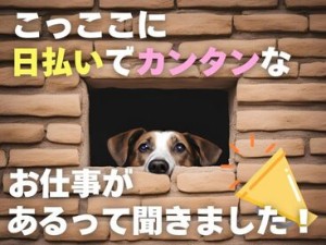 年齢不問！日払いOK★未経験でもカンタンなお仕事！