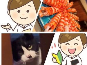 新鮮な魚や自慢の大分牛を提供する本格的な和食店です☆
