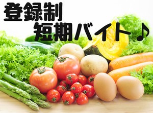 ＼カンタン作業／
流れてくる芋や豆を選別するだけです☆

学歴経験一切不問！
あなたの働ける日を教えてください♪