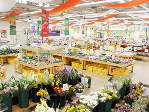 ＜＜　県下最大級の農産物直売所！　＞＞
オシゴトついでに新鮮野菜をGETも◎
[赤塚植物園]のガーデン無料入園特典もあり★