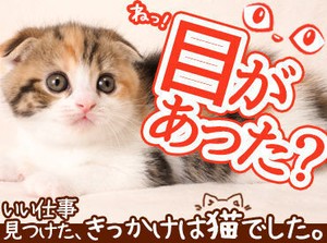 履歴書不要なので、気軽に始められる♪
「ちょっと気になる仕事がある！」そう思ったらお気軽にお問い合わせください！
